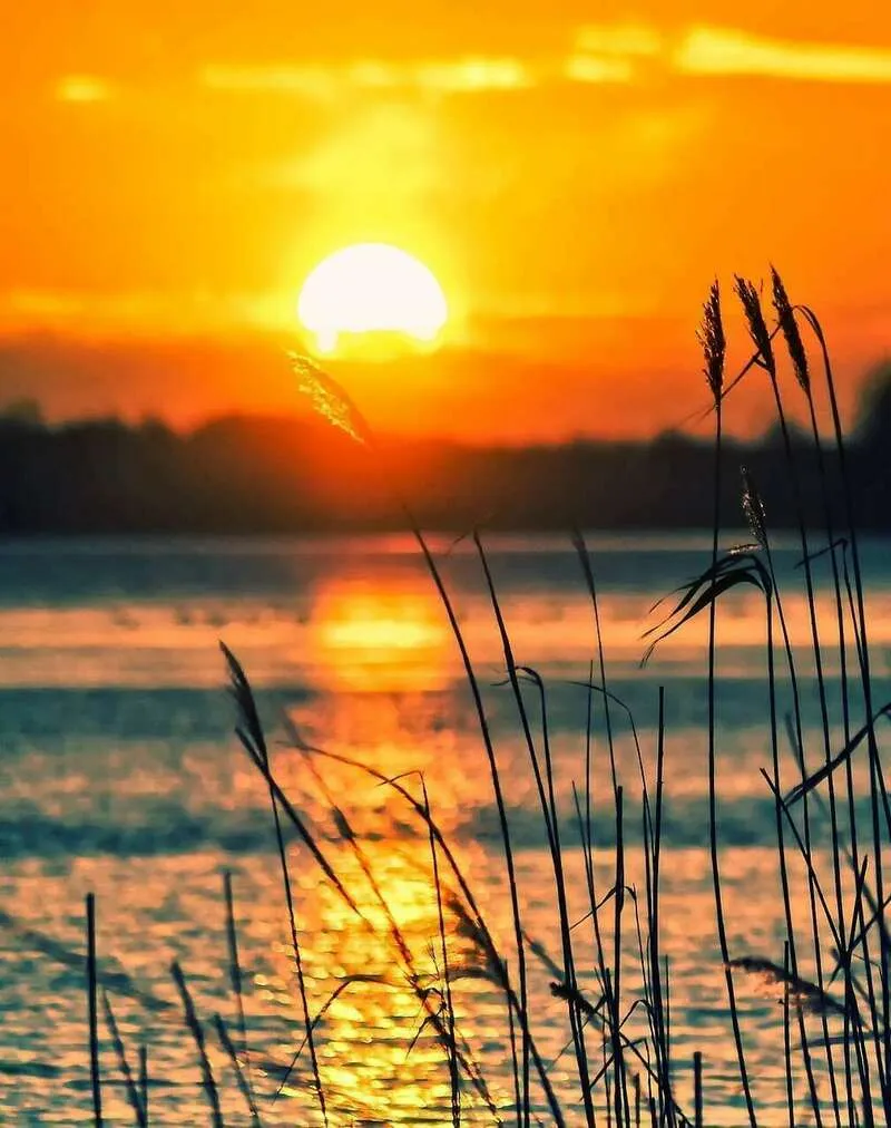 Accompagnement et douceur